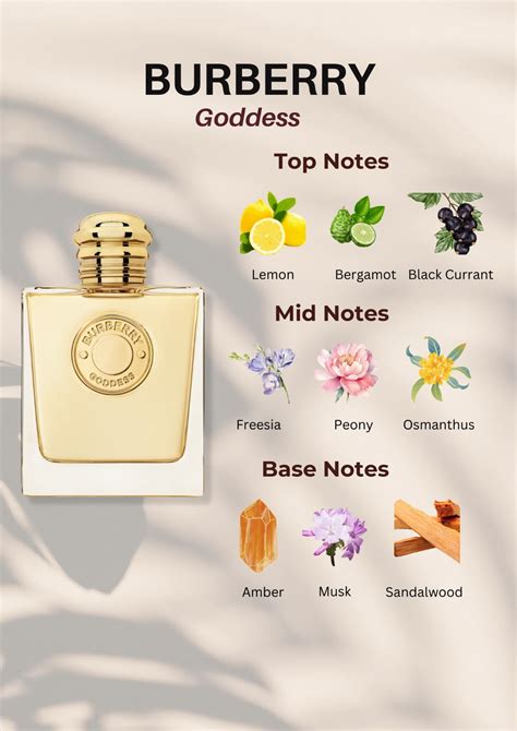 burberry parfum notes|what does burberry smell like.